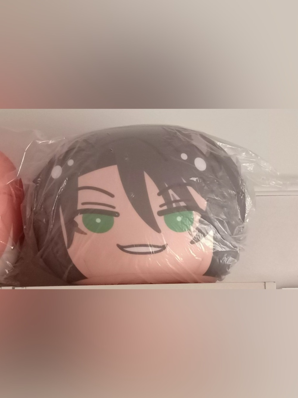 Leona Kingscholar Beanbag Cushion Dumpling Pillow Disney Twisted Wonderland ツイステ
